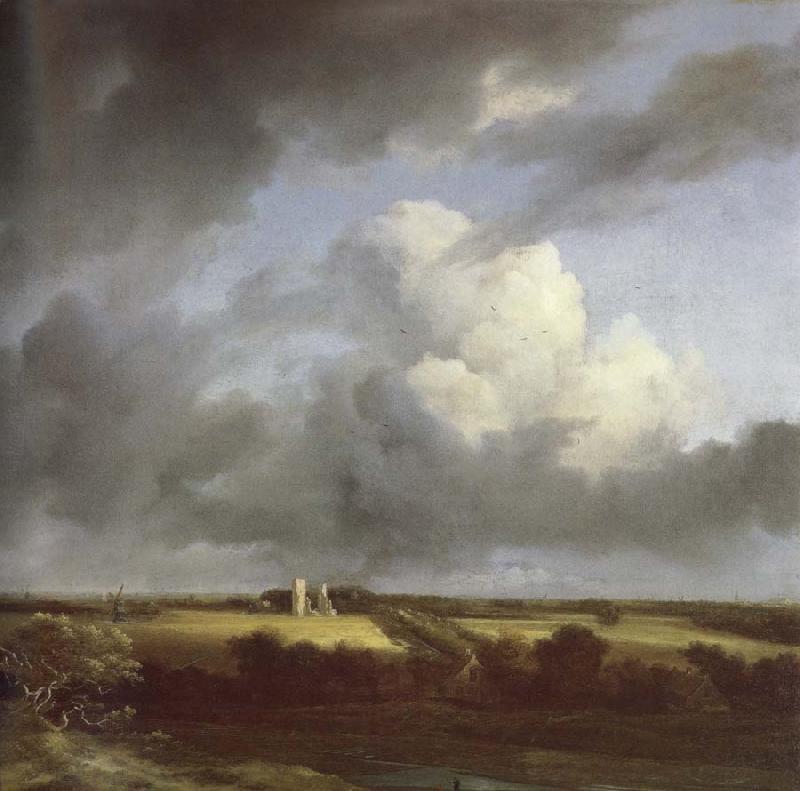 Jacob van Ruisdael View of the Ruins of Huis ter Kleef and Haarlem oil painting image